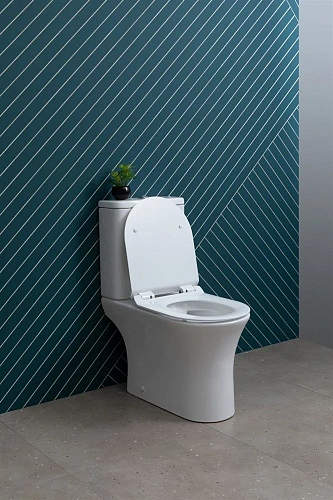 Чаша напольного унитаза Aquanet Rimless Roll 2-C CL-12289 с сиденьем Чаша напольного унитаза Aquanet Rimless Roll 2-C CL-12289 с сиденьем