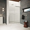 Душевая дверь Vegas-glass ZP Protec 100 04 Moru 1000 мм, профиль никель, стекло Moru