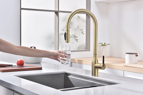 Смеситель для кухни Paulmark UNIVERSAL светлое золото Un213880-LG Смеситель для кухни Paulmark UNIVERSAL светлое золото Un213880-LG