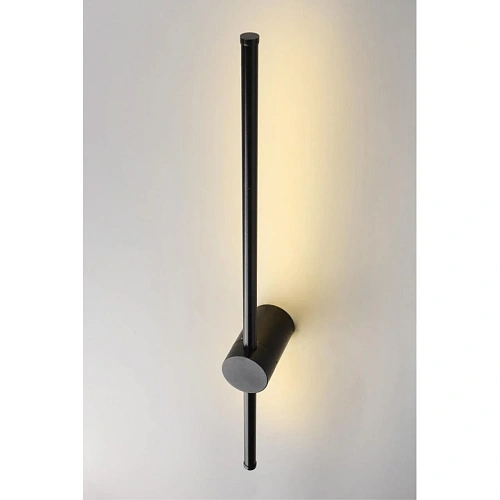 Светильник настенный (Бра) Aployt Gabi APL.0123.01.07 Светильник настенный (Бра) Aployt Gabi APL.0123.01.07