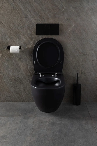 Унитаз подвесной Allen Brau Reality 4.32006.31 с крышкой, черный матовый Унитаз подвесной Allen Brau Reality 4.32006.31 с крышкой, черный матовый