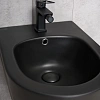 Биде подвесное Gid BDP-96BM 21103 черный матовый 48x37x32.5 Биде подвесное Gid BDP-96BM 21103 черный матовый 48x37x32.5