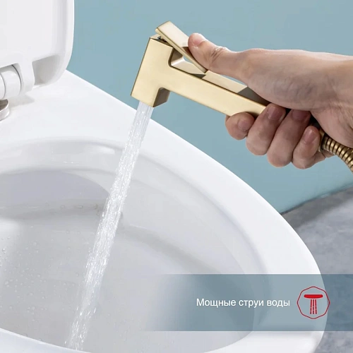 Гигиенический душ Raglo R51.55.03 встраиваемый, сатин золотой Гигиенический душ Raglo R51.55.03 встраиваемый, сатин золотой