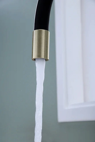 Смеситель для кухни Paulmark Salix бронза Sa213419-BR Смеситель для кухни Paulmark Salix бронза Sa213419-BR