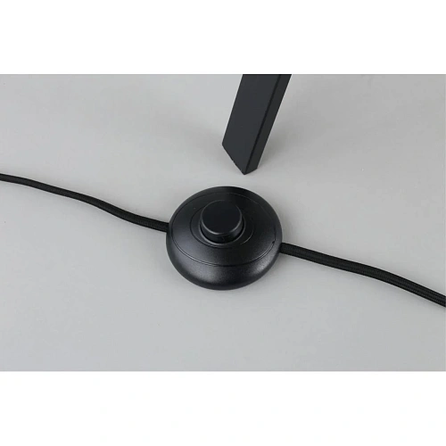 Торшер Aployt Donatin APL.636.05.01 Торшер Aployt Donatin APL.636.05.01