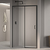 Картинка анонса товара «душевая дверь rgw passage pa-017b 1200 мм easy clean черный 350801712-14»