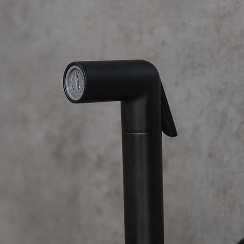 Гигиенический душ Lemark Solo LM7171BL, встраиваемый, черный Гигиенический душ Lemark Solo LM7171BL, встраиваемый, черный