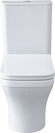 Чаша напольного унитаза Allen Brau Infinity 4.21012.20 с крышкой, белый глянец
