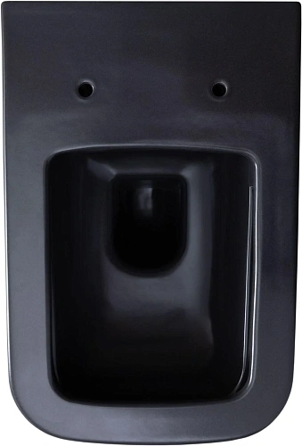 Унитаз подвесной Allen Brau Infinity 4.21011.AN с крышкой, антрацит Унитаз подвесной Allen Brau Infinity 4.21011.AN с крышкой, антрацит