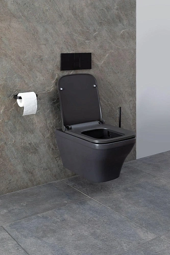 Унитаз подвесной Allen Brau Infinity 4.21011.AN с крышкой, антрацит Унитаз подвесной Allen Brau Infinity 4.21011.AN с крышкой, антрацит