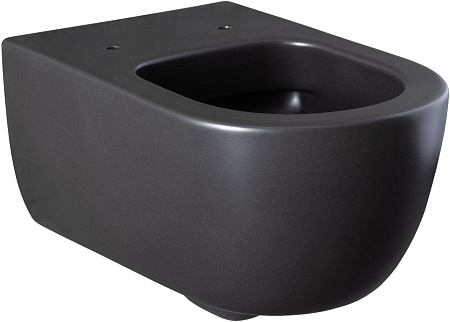 Унитаз подвесной Allen Brau Priority 4.31001.31 с крышкой, черный матовый