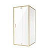 Душевой уголок Niagara Nova NG-43-10AG-A100G (100x100x195) квадратная, дверь распашная