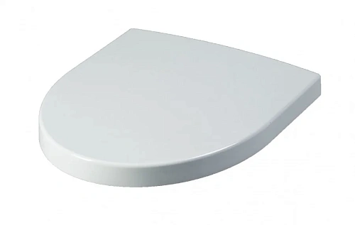 Крышка-сиденье AM.PM Bliss L C537852WH с микролифтом, быстросъемное Крышка-сиденье AM.PM Bliss L C537852WH с микролифтом, быстросъемное