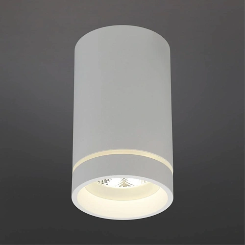 Светильник встраиваемый-накладной Aployt Edda APL.0054.09.10 Светильник встраиваемый-накладной Aployt Edda APL.0054.09.10