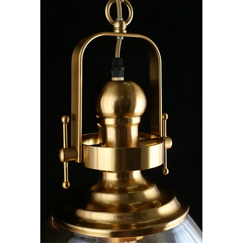 Светильник подвесной Aployt Darunia APL.629.16.01 Светильник подвесной Aployt Darunia APL.629.16.01