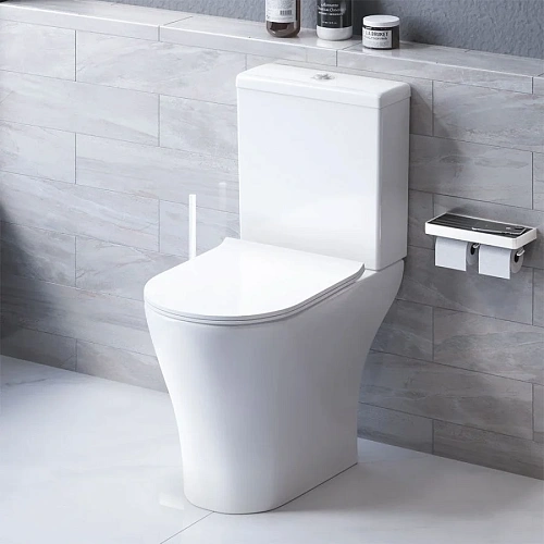 Унитаз напольный Damixa Sirius DX86C8600SC безободковый с сиденьем микролифт Унитаз напольный Damixa Sirius DX86C8600SC безободковый с сиденьем микролифт