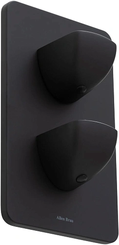 Смеситель для душа Allen Brau Infinity 5.21116-31 (с внутренней частью, 1 выход) черный матовый Смеситель для душа Allen Brau Infinity 5.21116-31 (с внутренней частью, 1 выход) черный матовый