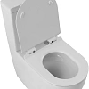 Чаша напольного унитаза Aquanet ZVEZDA ZV-2-C1 Чаша напольного унитаза Aquanet ZVEZDA ZV-2-C1
