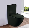 Унитаз напольный Esbano RIPOLL-С (ESUNRIPOCMB) Matt Black 620x385x845 с крышкой микролифт