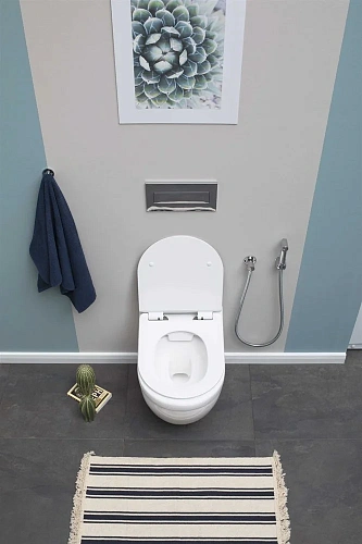 Унитаз подвесной Aquanet Rimless Glide-W CL-11042 с сиденьем Унитаз подвесной Aquanet Rimless Glide-W CL-11042 с сиденьем