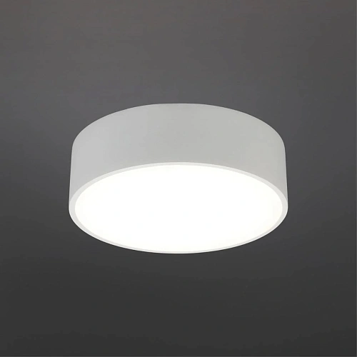 Светильник настенно-потолочный Aployt Evon APL.0114.09.12 Светильник настенно-потолочный Aployt Evon APL.0114.09.12