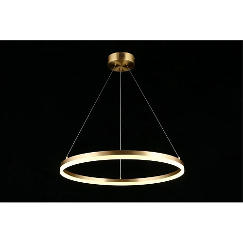 Люстра подвесная Aployt Armel APL.049.13.40 Люстра подвесная Aployt Armel APL.049.13.40