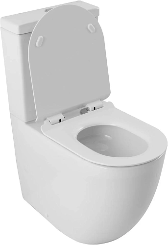 Чаша напольного унитаза Aquanet ZVEZDA ZV-2-C1 Чаша напольного унитаза Aquanet ZVEZDA ZV-2-C1