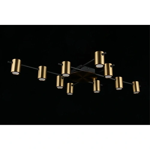 Люстра потолочная Aployt Elwisia APL.633.07.10 Люстра потолочная Aployt Elwisia APL.633.07.10