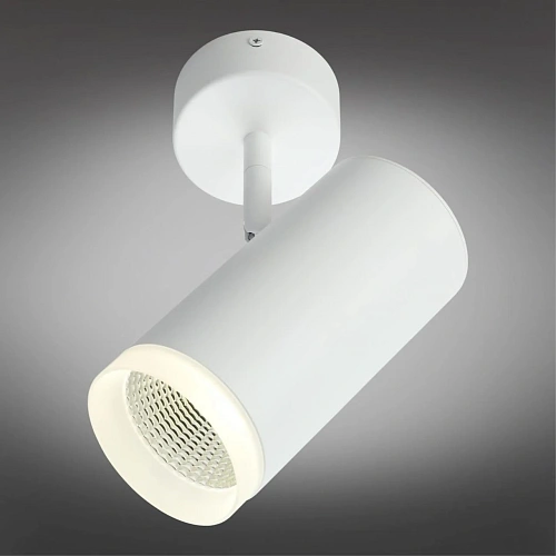 Светильник настенно-потолочный Omnilux Maratea OML-102609-20 Светильник настенно-потолочный Omnilux Maratea OML-102609-20