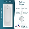 Ванна чугунная Delice Biove 1700х750, без ручек DLR220509 Ванна чугунная Delice Biove 1700х750, без ручек DLR220509