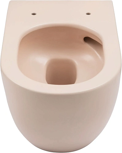 Унитаз подвесной Allen Brau Reality 4.32015.SM сиденье с микролифт розовый Унитаз подвесной Allen Brau Reality 4.32015.SM сиденье с микролифт розовый