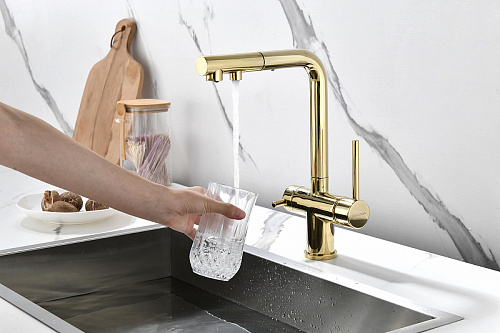 Смеситель для кухни Paulmark SERPENTINE золото Se213222-G Смеситель для кухни Paulmark SERPENTINE золото Se213222-G