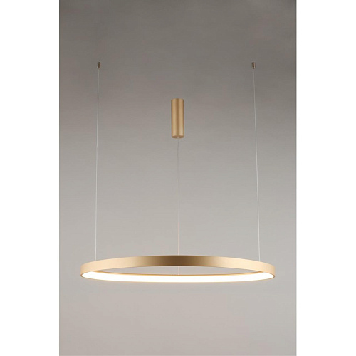 Люстра подвесная Aployt Zula APL.022.03.60 Люстра подвесная Aployt Zula APL.022.03.60