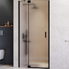 Картинка анонса товара «душевая дверь rgw hotel ho-014b 1200 мм easy clean черный 350601412-24»