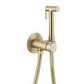 Гигиенический душ ABBER Wasser Kreis AF8125G золото матовое Гигиенический душ ABBER Wasser Kreis AF8125G золото матовое