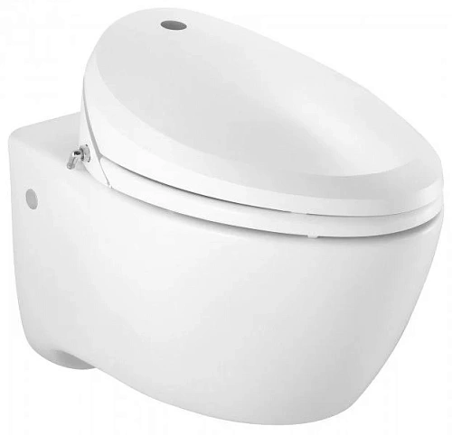 Унитаз подвесной Jacob Delafon Via C45559K-0 с многофункциональной туалетной крышкой C3-225 Унитаз подвесной Jacob Delafon Via C45559K-0 с многофункциональной туалетной крышкой C3-225