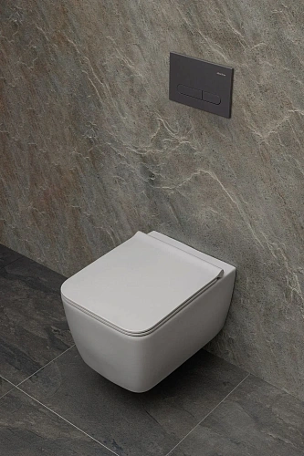 Клавиша смыва Allen Brau Project Color 9.2PR01.AN антрацит Клавиша смыва Allen Brau Project Color 9.2PR01.AN антрацит