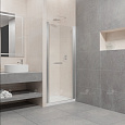 Детальная картинка товара «душевая дверь rgw passage pa-03 800 мм easy clean хром 41080308-11»