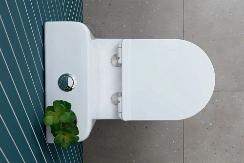 Чаша напольного унитаза Aquanet Rimless Roll 2-C CL-12289 с сиденьем Чаша напольного унитаза Aquanet Rimless Roll 2-C CL-12289 с сиденьем