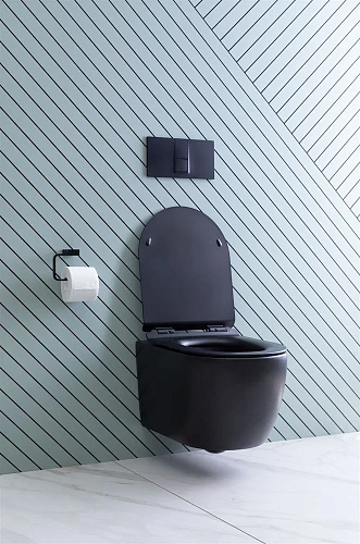 Унитаз подвесной Aquanet Rimless Cetus-BW BL-102N-WHT CETUS-BW с сиденьем Унитаз подвесной Aquanet Rimless Cetus-BW BL-102N-WHT CETUS-BW с сиденьем