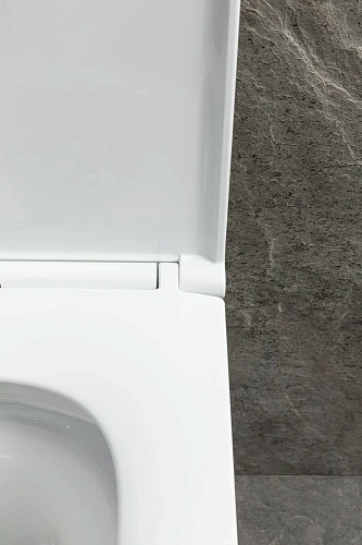 Унитаз подвесной Allen Brau Priority Tornado 4.31009.20 без сиденья белый глянец Унитаз подвесной Allen Brau Priority Tornado 4.31009.20 без сиденья белый глянец