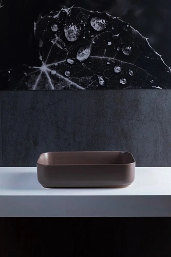 Раковина Allen Brau Fantasy 50 4.11021.TP коричневый Раковина Allen Brau Fantasy 50 4.11021.TP коричневый