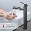 Смеситель для раковины Raglo R20.15.09, графит Смеситель для раковины Raglo R20.15.09, графит