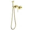 Гигиенический душ Aquatek Европа AQ1319BG золото шлифованное, встраиваемый