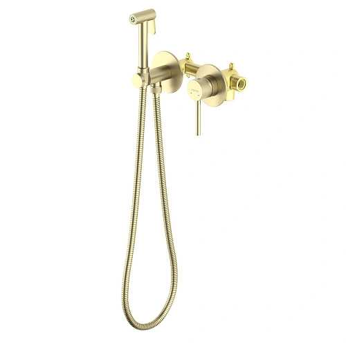 Гигиенический душ Aquatek Европа AQ1319BG золото шлифованное, встраиваемый Гигиенический душ Aquatek Европа AQ1319BG золото шлифованное, встраиваемый