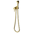 Гигиенический душ Sancos Etna SC9033BG с внутренней частью, брашированное золото, PVD покрытие Гигиенический душ Sancos Etna SC9033BG с внутренней частью, брашированное золото, PVD покрытие