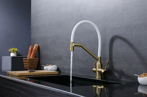 Смеситель для кухни Raglo R81.62.03 с гибким изливом с подключением к фильтру, золотой сатин Смеситель для кухни Raglo R81.62.03 с гибким изливом с подключением к фильтру, золотой сатин