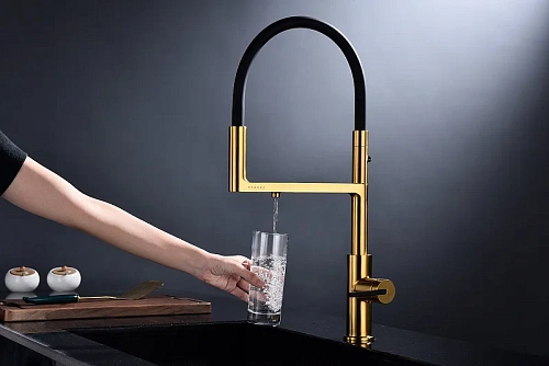 Смеситель для кухни Paulmark Tornado брашированное золото To213402-BG Смеситель для кухни Paulmark Tornado брашированное золото To213402-BG