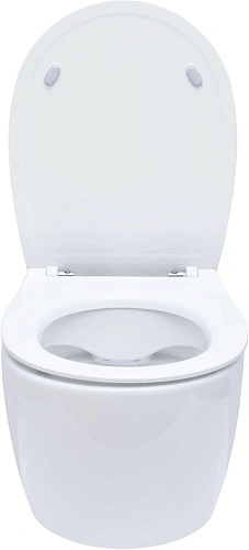 Комплект унитаза Allen Brau Fantasy 4.11004.20/8.9466.0.000.000.1 (00316504) с инсталляцией, белый глянец Комплект унитаза Allen Brau Fantasy 4.11004.20/8.9466.0.000.000.1 (00316504) с инсталляцией, белый глянец