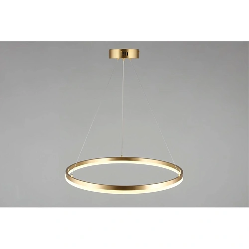 Люстра подвесная Aployt Armel APL.049.13.40 Люстра подвесная Aployt Armel APL.049.13.40